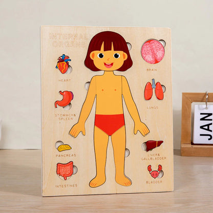 Montessori Wooden Human Body Educational Learning Puzzle