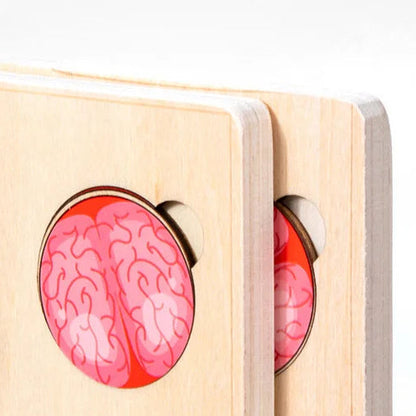 Montessori Wooden Human Body Educational Learning Puzzle