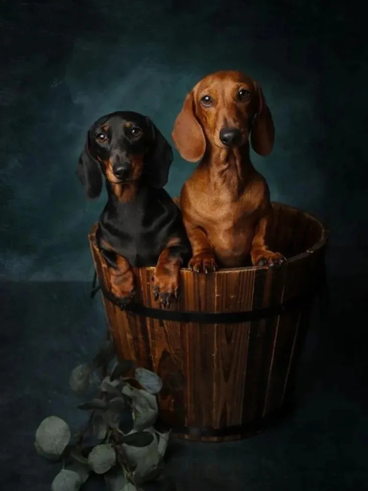 Dachshund Diamond Painting Kits