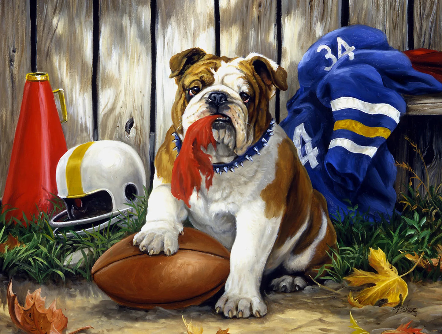 Various Landscape 500pc Jigsaw Puzzles