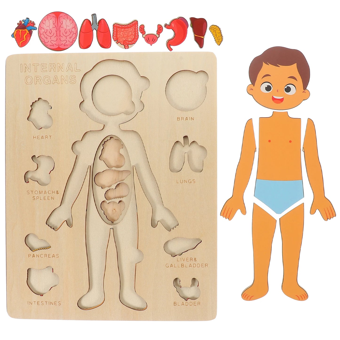 Montessori Wooden Human Body Educational Learning Puzzle