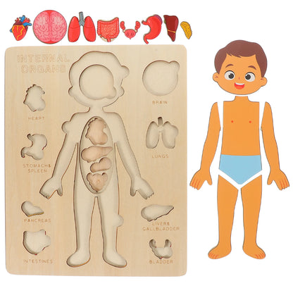 Montessori Wooden Human Body Educational Learning Puzzle