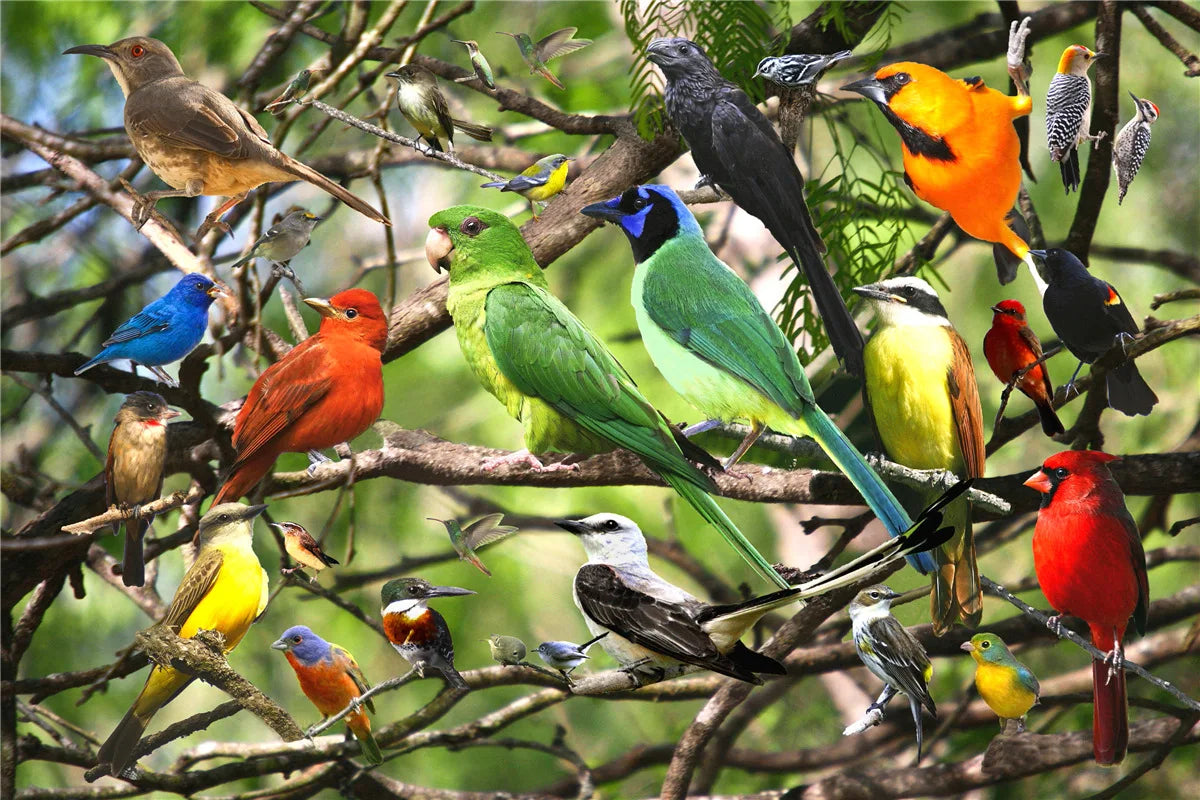 Various Landscape 500pc Jigsaw Puzzles