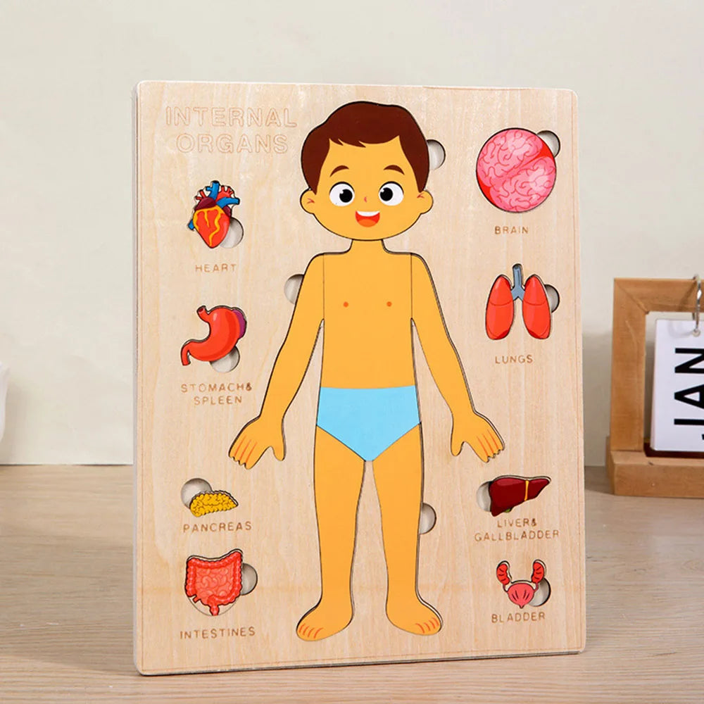Montessori Wooden Human Body Educational Learning Puzzle