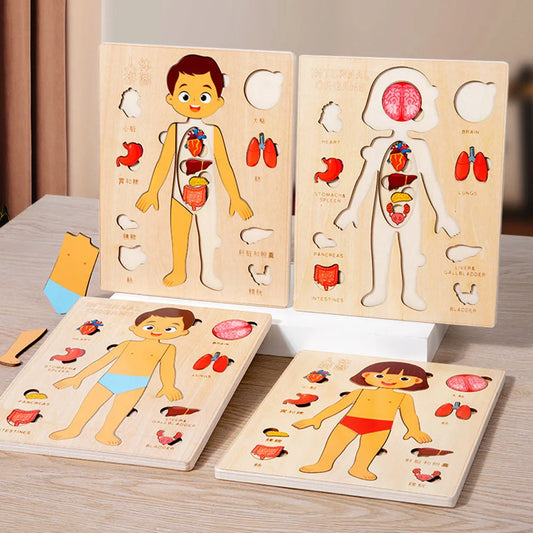 Montessori Wooden Human Body Educational Learning Puzzle