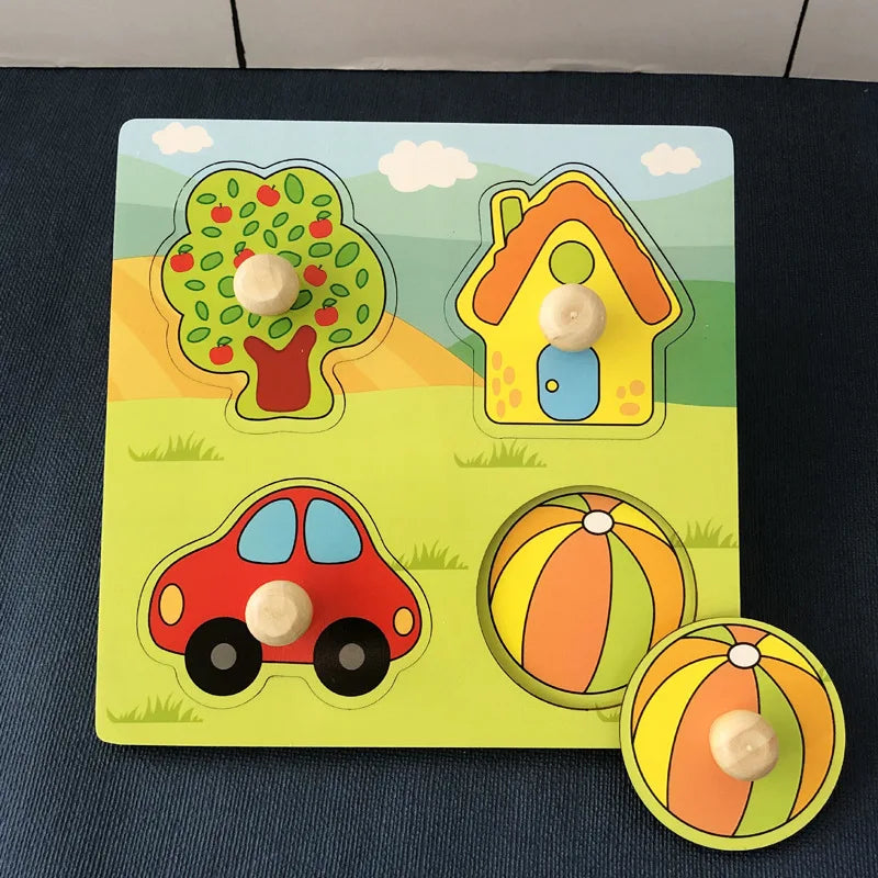 Montessori Wooden Educational Learning Magnet Puzzle