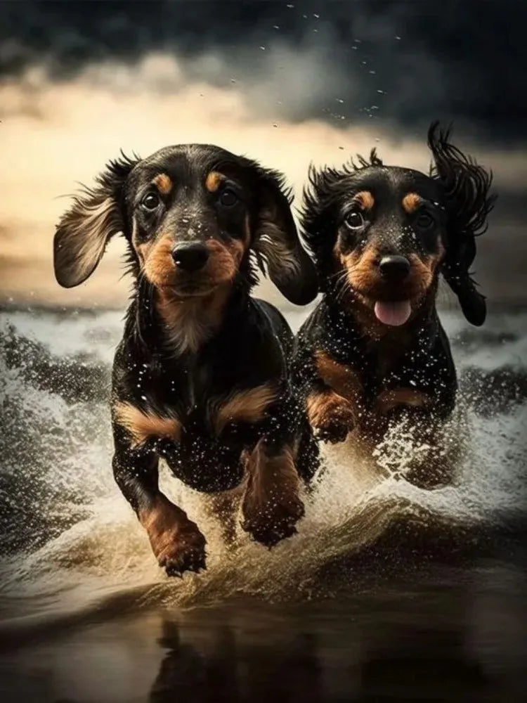 Dachshund Diamond Painting Kits